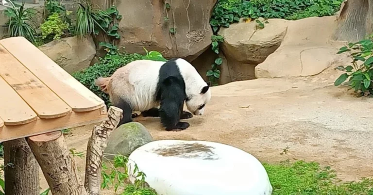 National Zoo of Malaysia